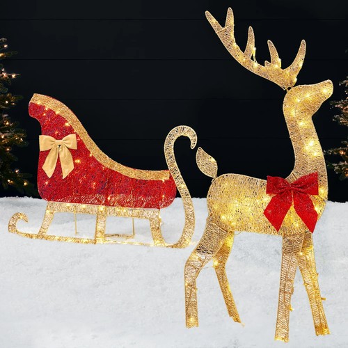 Reindeer sleigh outdoor - reindeer,