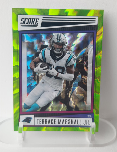 Panini 2022 score - 2022, terrace