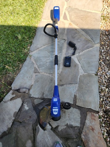 Electric weeder with battery - with,